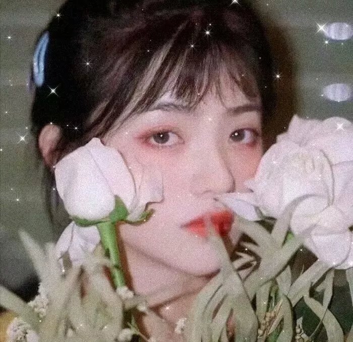 小镇的千叶君。